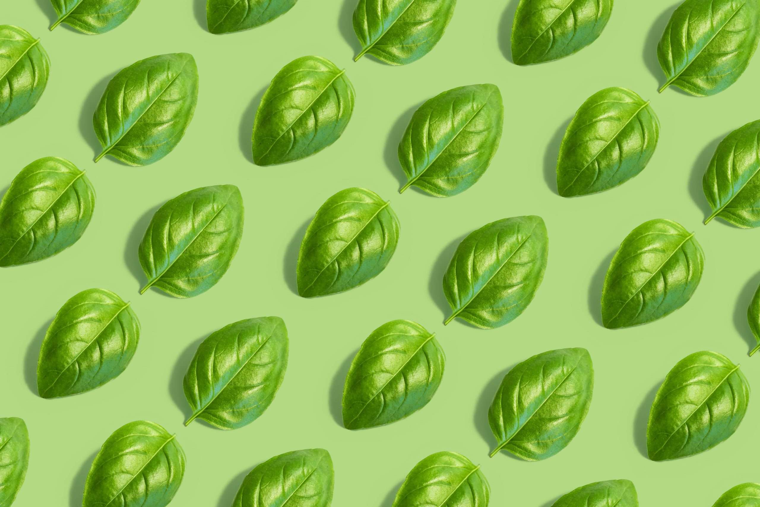 vitamina B9